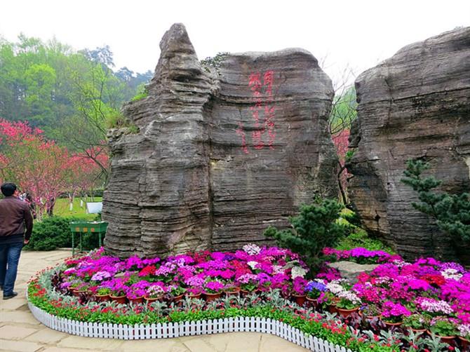 湖南旅游景点排名前十名