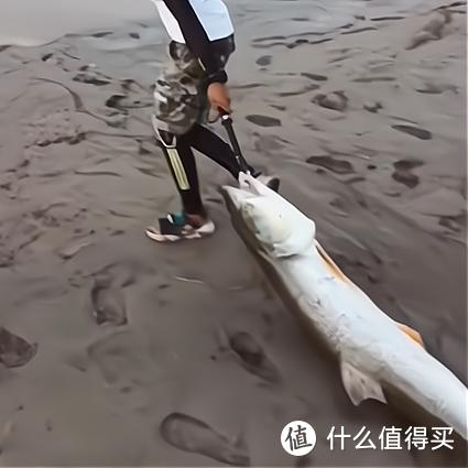 重庆哪个地方风大好钓鱼