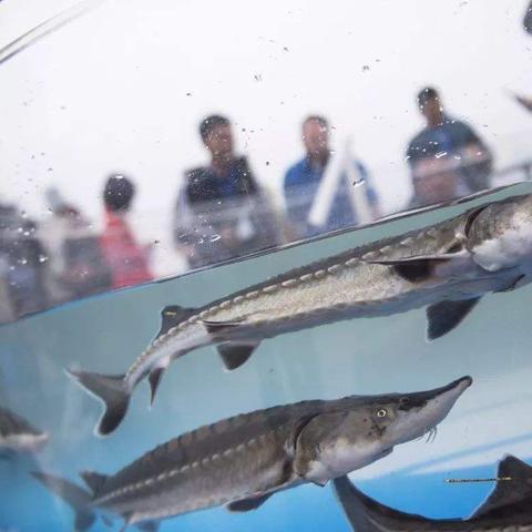 三峡大坝和重庆哪个好