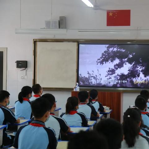 南宁市初级中学哪个好