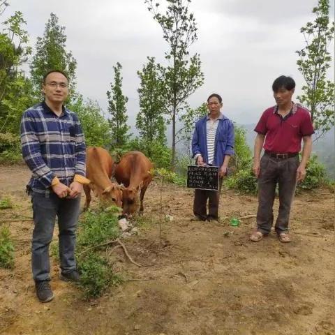 南宁市玉林路是哪个区的