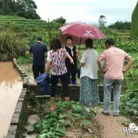 怎么看暴雨警报