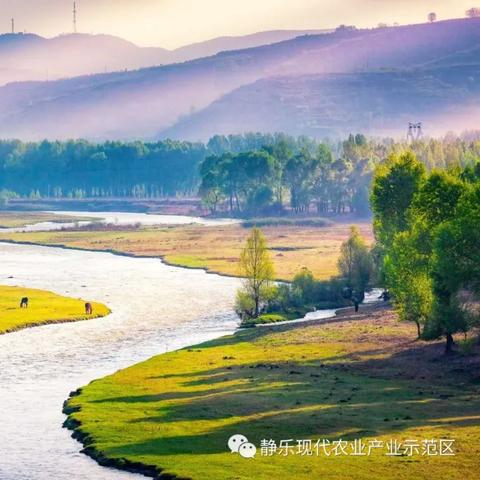 今天静乐气温多少的长尾关键词有什么