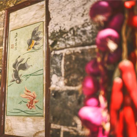 成都市内哪里有卖大鱼缸