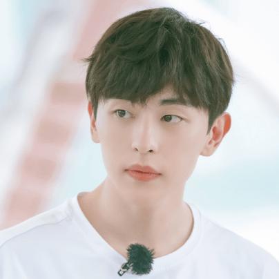 真实杀狗视频大全的长尾关键词有哪些