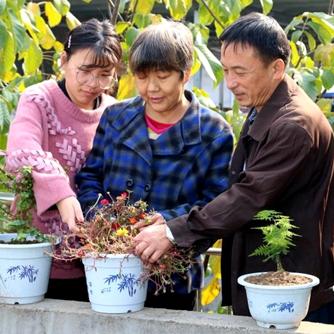 河南道德模范的相关长尾关键词有哪些