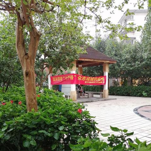 南宁市植物路在哪个区域