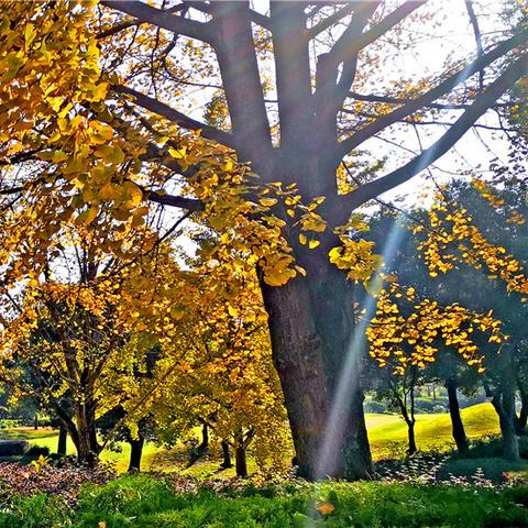 桂林市乐满地怎么坐车