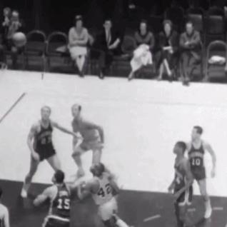 哈尔滨新菜鸟招聘相关长尾关键词有哪些