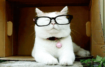 4岁女孩近视600度是怎么回事 4岁女孩近视600度是怎么回事