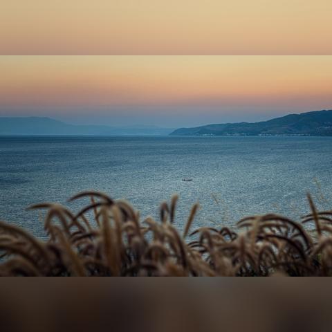 巴马属于什么气候类型