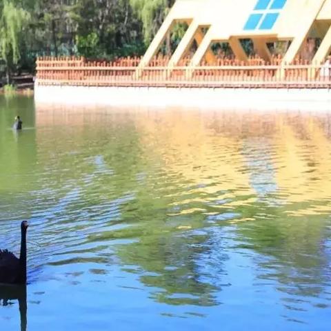 沈阳市到鸟岛怎么走方便