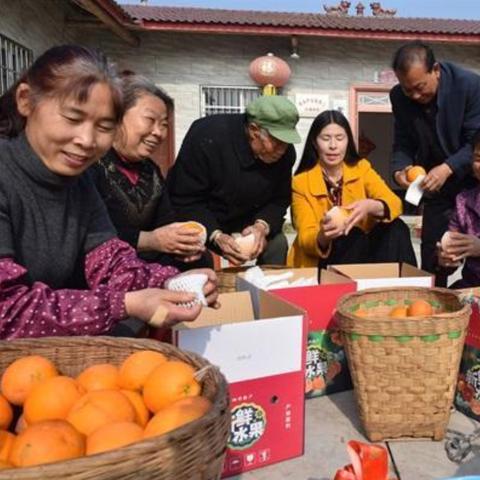苏州市乐亿宾馆怎么样