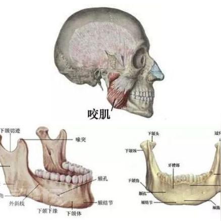 大连哪里拔智齿的长尾关键词有什么