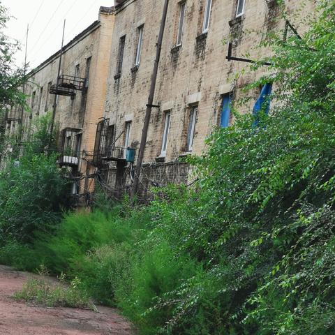 哈尔滨学校招宿舍老师相关长尾关键词有哪些