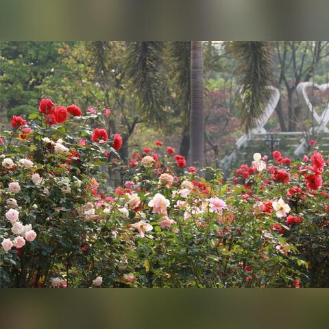 广东省佛山市有海吗的长尾关键词有哪些