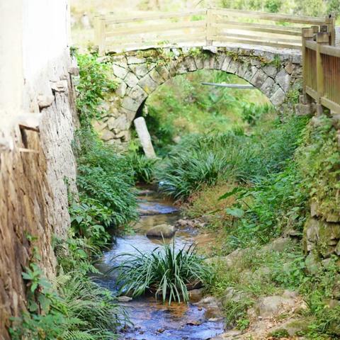 福建历史就业方向怎么样