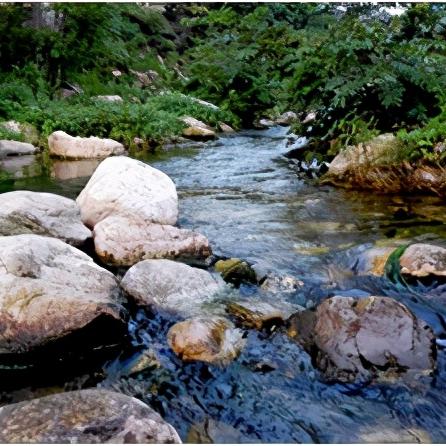临沂市美食在哪里买