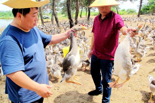 扎根穷乡僻壤奋进——记武汉东西湖驻团山村第一书记王燕常