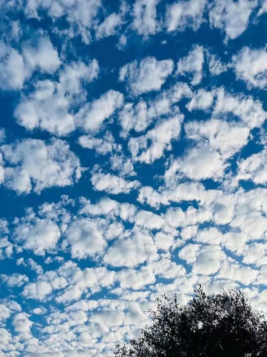 广州秋日“格子云”天空大片，治愈你一切坏心情