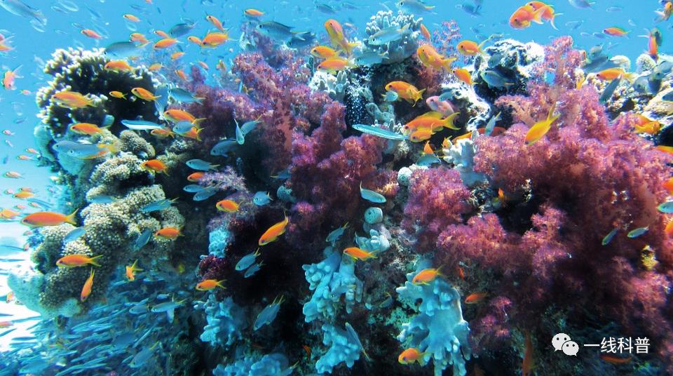 渔业化论文下载现在学生物出路真有那么不济吗