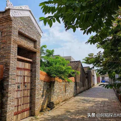 桂林市哪里有生鹅卖