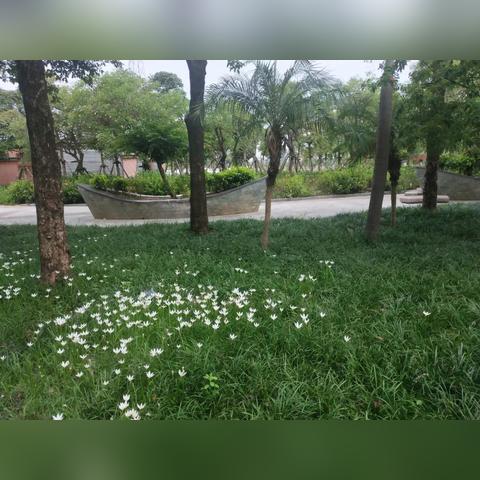 南宁拍照水坝的相关长尾关键词有哪些