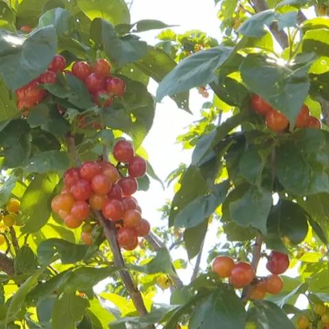 昆明市街边拍照的长尾关键词有哪些