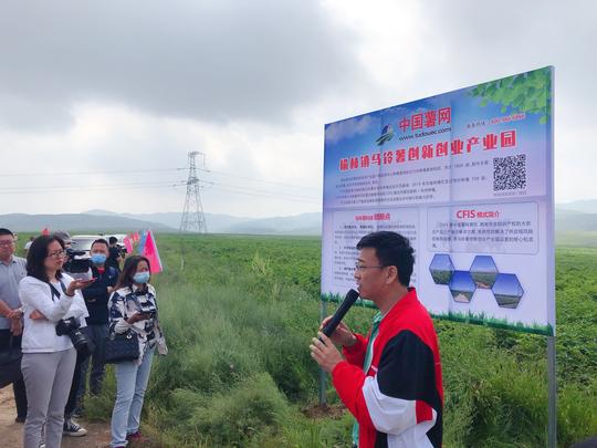 榆林镇互联网+马铃薯科技种植现场观摩会在苏木沁村成功举办