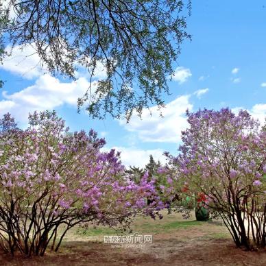 哈尔滨远大生态园门票相关长尾关键词有哪些