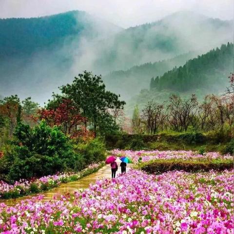 潍坊市饭店有多少家店铺