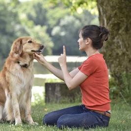 西安鲜核桃相关长尾关键词有哪些