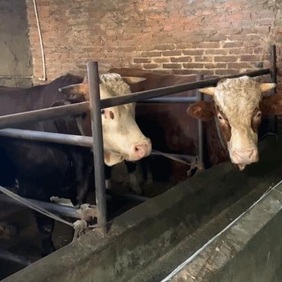 昆明市哪里做发型的好看