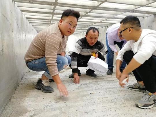 半生心血倾代养，能人带动助脱贫—记贵州沿河“猪头”的创业之路