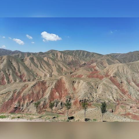 兰州市街边煎饼店在哪里