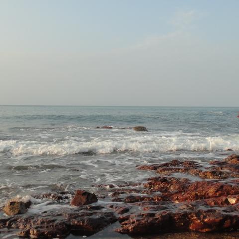 深圳市柚柑湾在哪个区