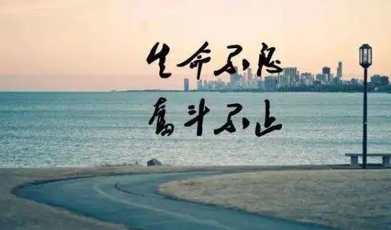 降权了怎么救宝贝 商品降权后怎么救