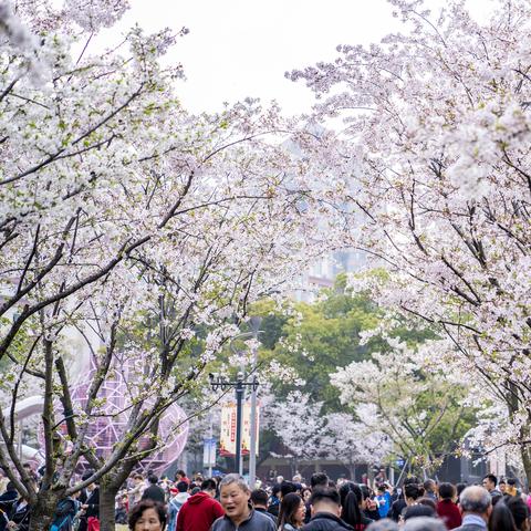地铁一号线线路图宁波的长尾关键词有什么