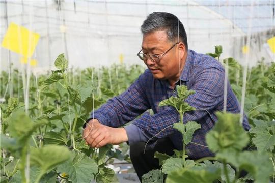 杨凌农科“密钥”打开农民“致富宝盒”