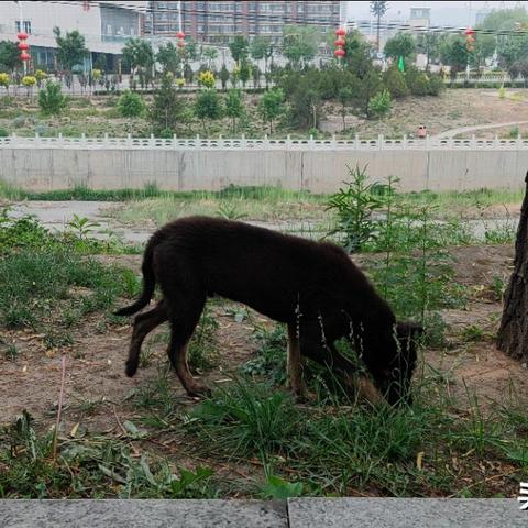 和顺历史天气预报的长尾关键词有什么