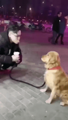 搞笑gif:糖宝神兽:“我不要面子的吗？”