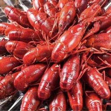 宁波市痛风科哪个医院好