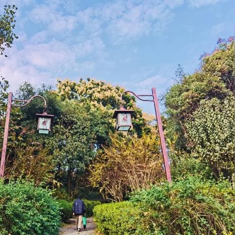 武汉粮道街地铁是几号线？