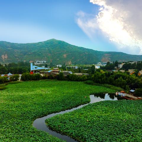 西安市最近景色怎么样了