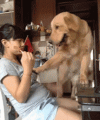 海边涨潮被海水美女冲走搞笑gif动图