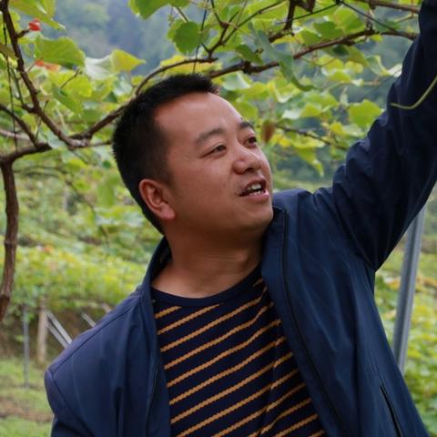 武汉武隆农药有限公司的长尾关键词有哪些