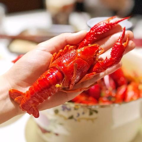 长沙一只龙虾相关长尾关键词有哪些