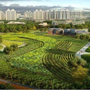 临沂市新开发地方在哪里