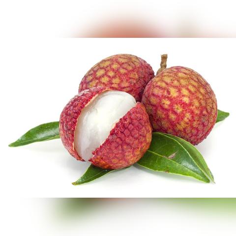 福建种植哪个龙眼品种