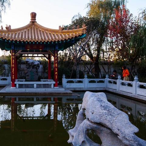 济南市园林涂白什么时候